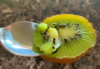 Spoon digging into Kiwi