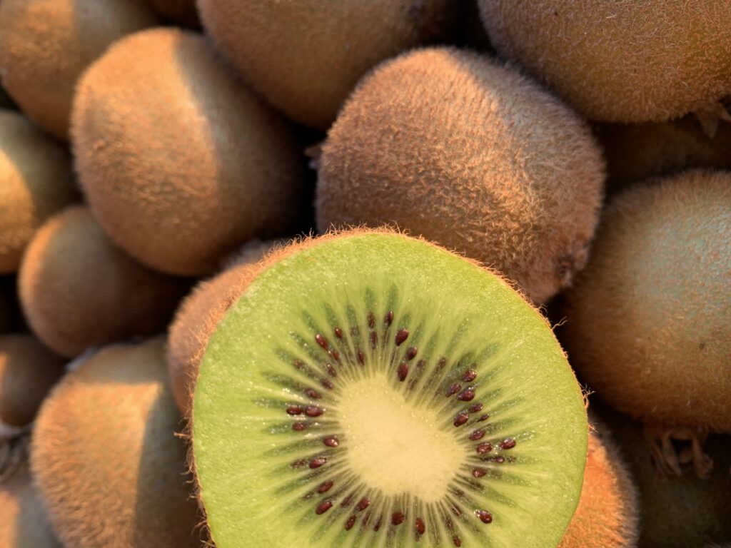 Harvested kiwi - closeup