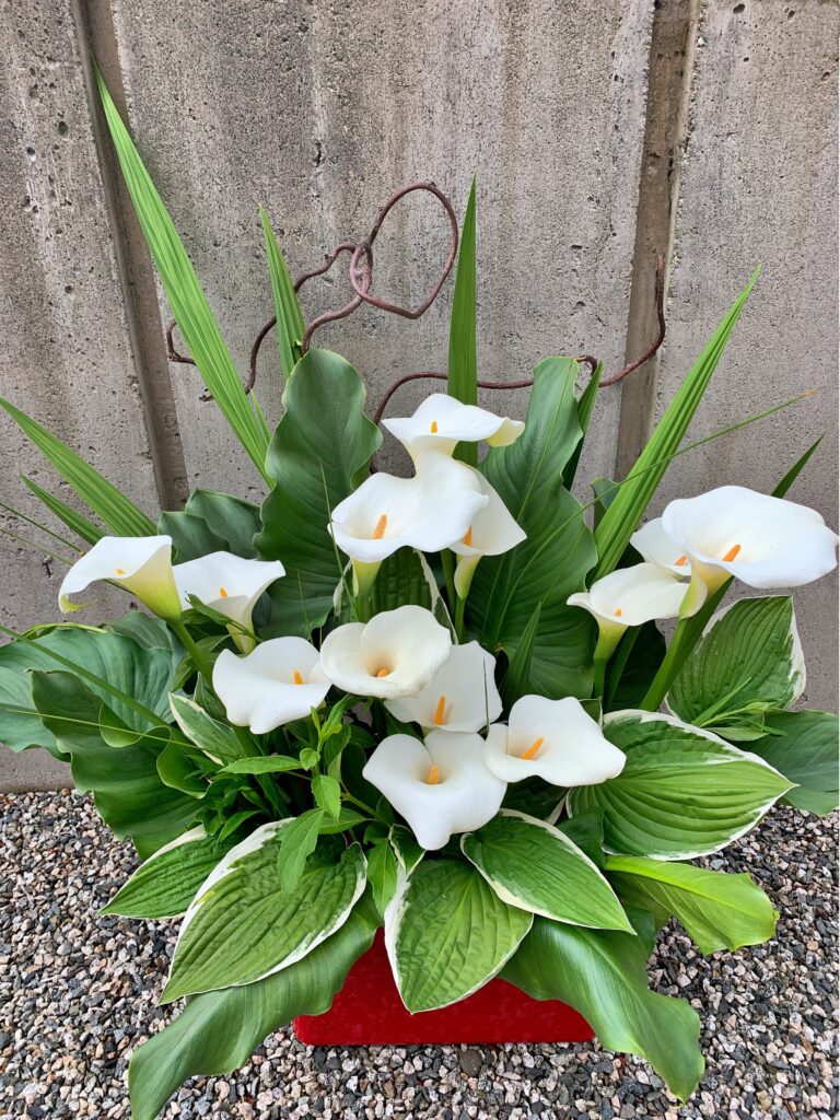 Calla lily arrangement