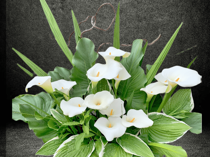 Calla lily arrangement